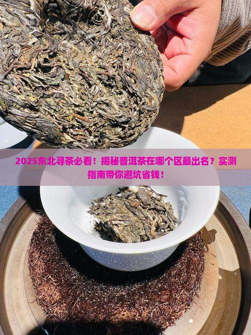 普洱茶在东北哪个区有名