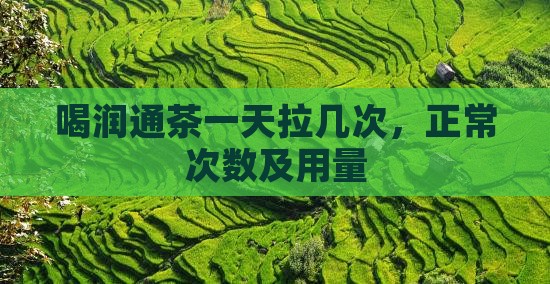 喝润通茶一天拉几次