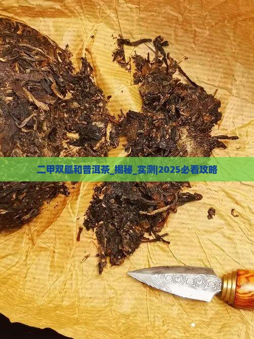 二甲双胍和普洱茶