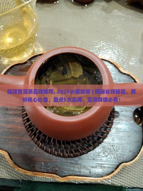福建普洱茶品牌推荐