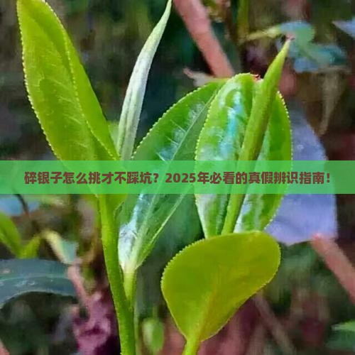碎银子如何分别好坏