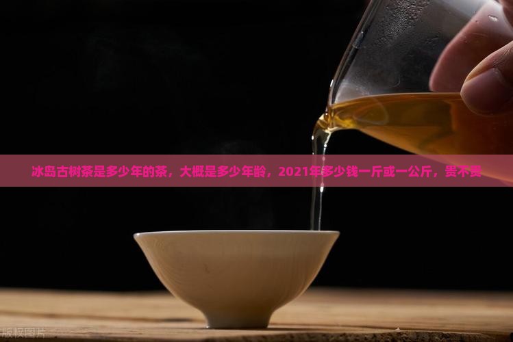 冰岛古树茶是多少年的
