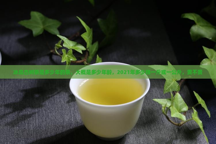 冰岛古树茶是多少年的