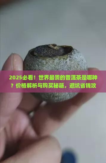 世界最贵的普洱茶是哪种