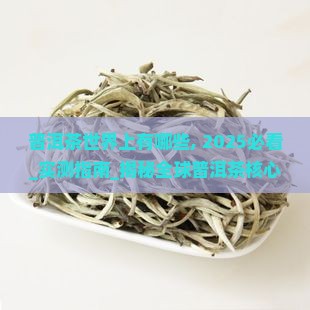 普洱茶世界上有哪些