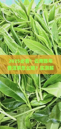 云南陈年普洱茶怎么喝