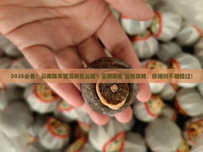 云南陈年普洱茶怎么喝