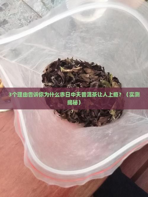 赤日中天普洱茶怎么样