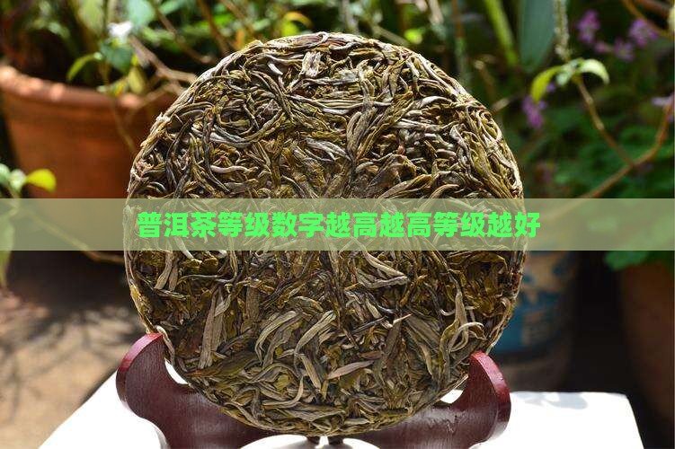 普洱茶等级数字越大越好吗