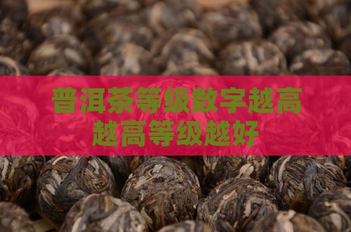 普洱茶等级数字越大越好吗