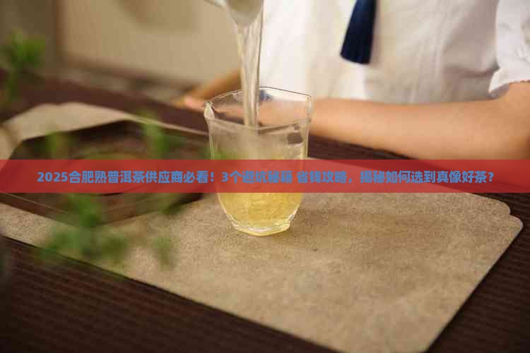 合肥熟普洱茶供应商