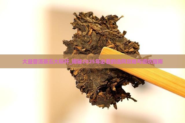 大益普洱茶五大标杆
