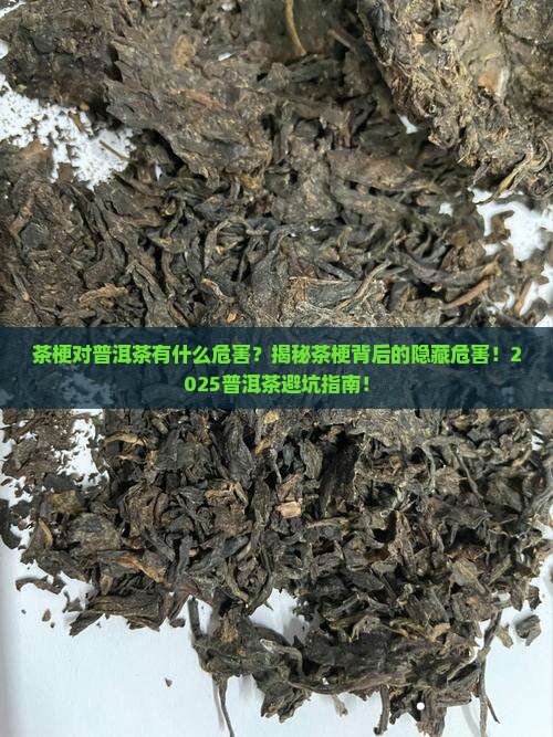 茶梗对普洱茶有什么危害