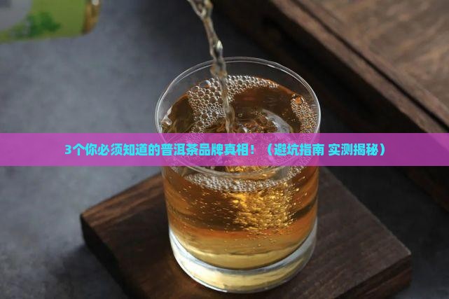 普洱茶属于品牌吗有哪些