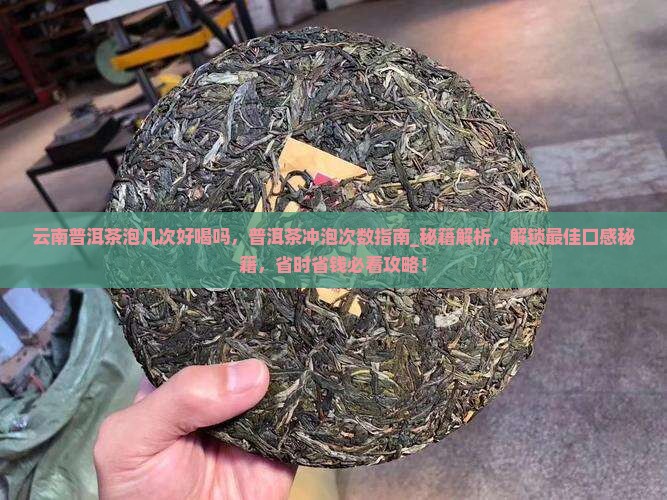 云南普洱茶泡几次好喝吗