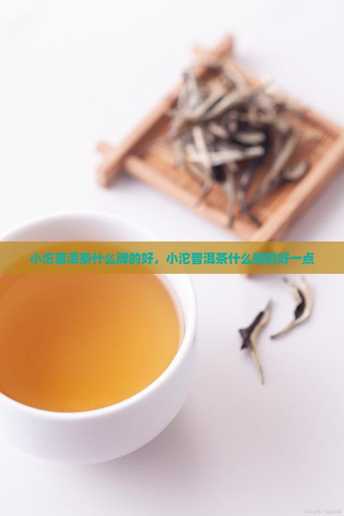 小沱普洱茶什么牌的好