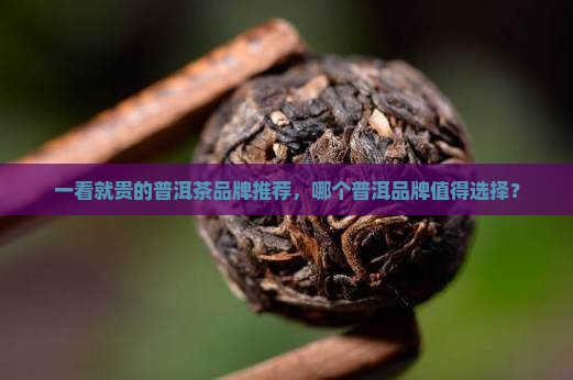 一看就贵的普洱茶品牌推荐 一看就贵的普洱茶品牌推荐