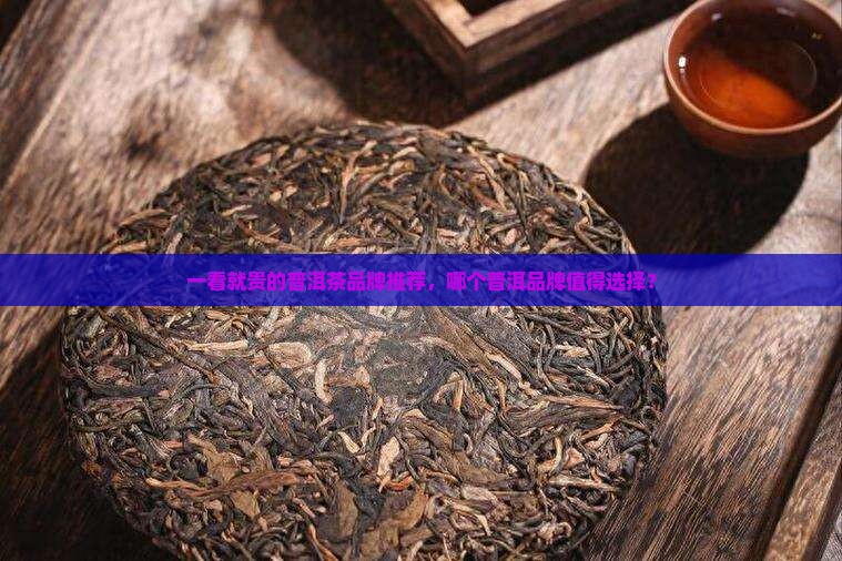 一看就贵的普洱茶品牌推荐 一看就贵的普洱茶品牌推荐