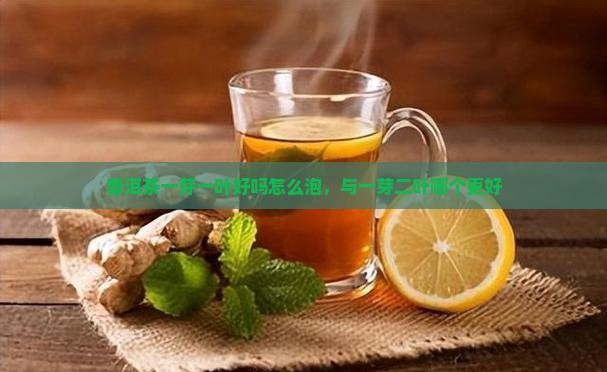 普洱茶一芽一叶好吗