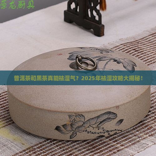 普洱茶和黑茶可以祛湿气吗