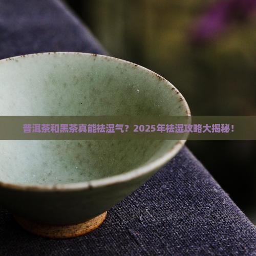 普洱茶和黑茶可以祛湿气吗