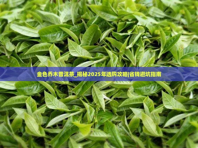金色乔木普洱茶