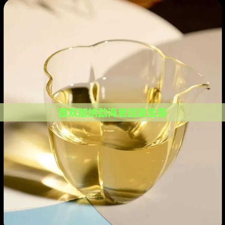 西双版纳勐海老班章生茶 西双版纳勐海老班章生茶