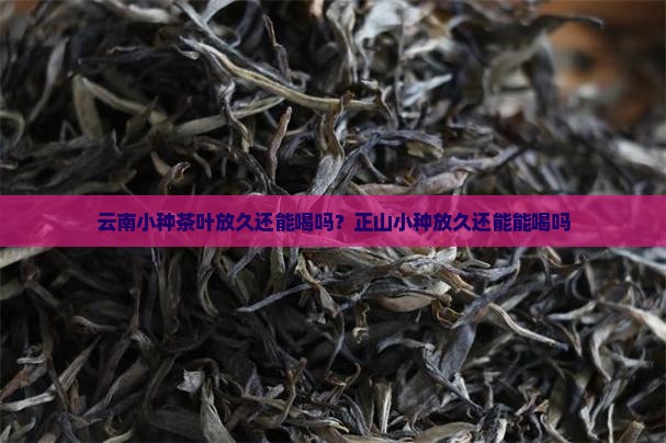 云南小种茶叶放久还能喝吗