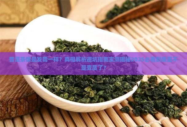 普洱茶像是发霉一样 普洱茶像是发霉一样