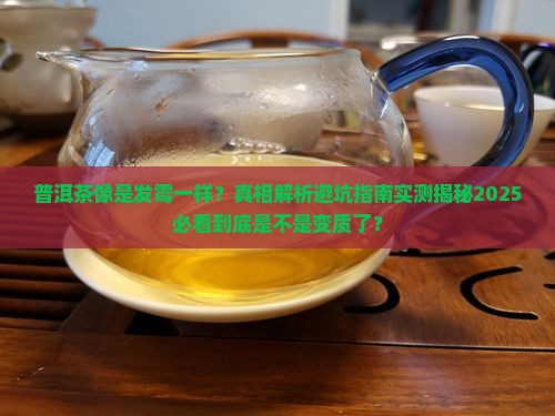 普洱茶像是发霉一样 普洱茶像是发霉一样