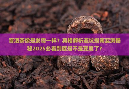 普洱茶像是发霉一样 普洱茶像是发霉一样