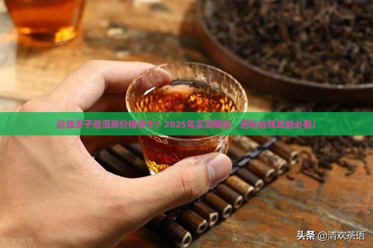 边城浪子普洱茶价格