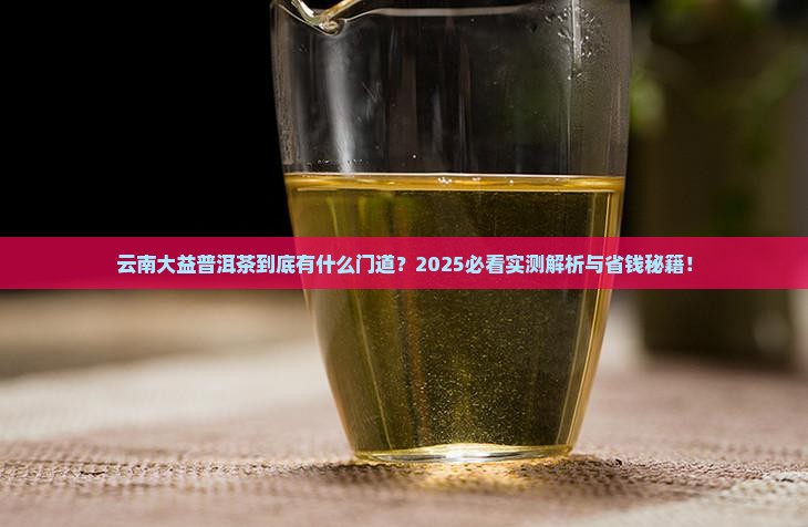 云南大益普洱茶如何