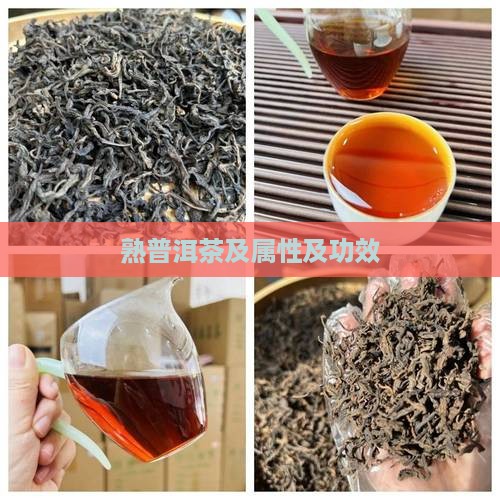 熟普洱茶及属性及功效