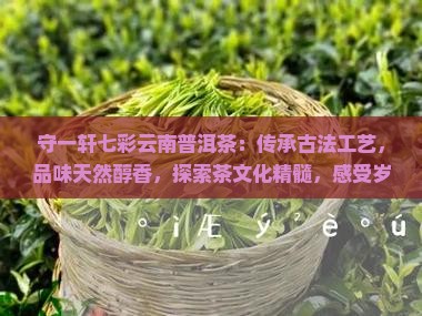 守一轩七彩云南普洱茶
