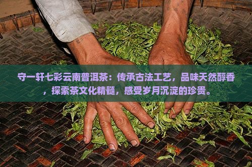 守一轩七彩云南普洱茶