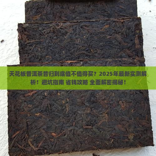 天花板普洱茶昔归