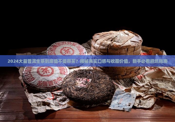 大益普洱茶生茶2024