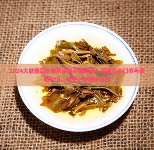 大益普洱茶生茶2024