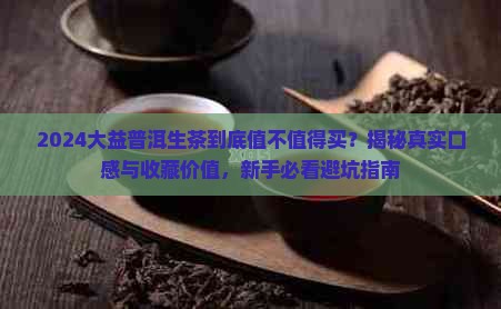 大益普洱茶生茶2024