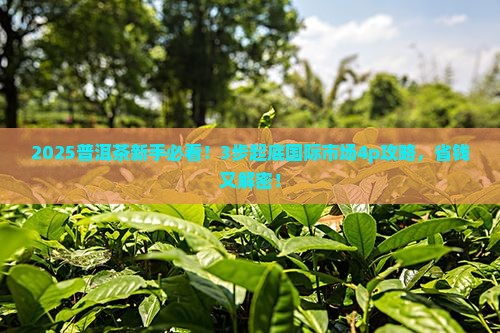 浅析普洱茶国际市场4p