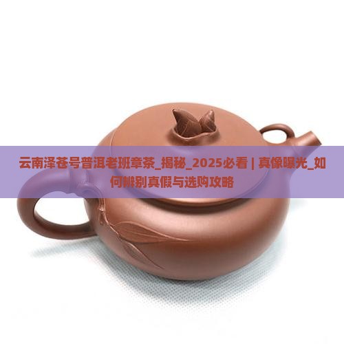 云南泽苍号普洱老班章茶