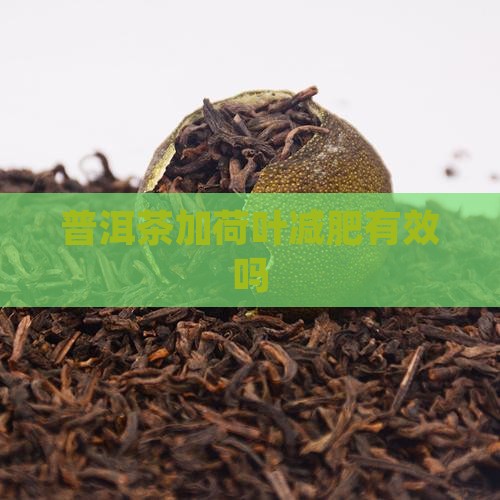 普洱茶加荷叶减肥有效吗