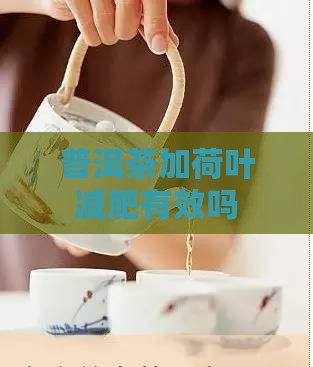 普洱茶加荷叶减肥有效吗