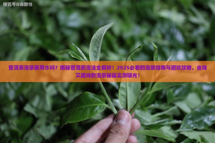 普洱茶泡茶要用水吗