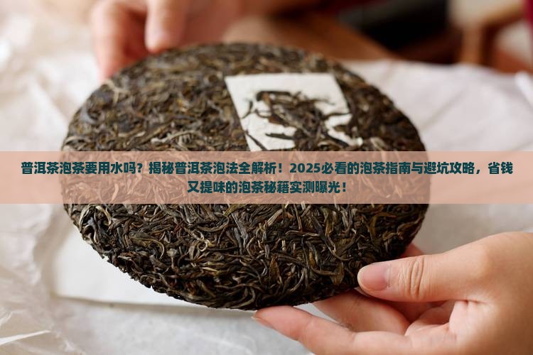 普洱茶泡茶要用水吗