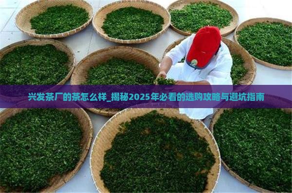 兴发茶厂的茶怎么样