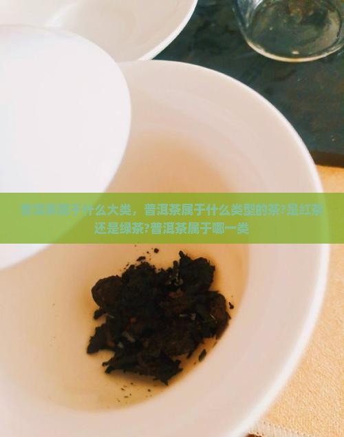 普洱茶属于什么大类 普洱茶属于什么大类