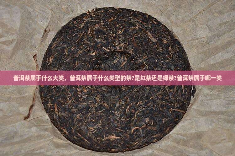 普洱茶属于什么大类 普洱茶属于什么大类