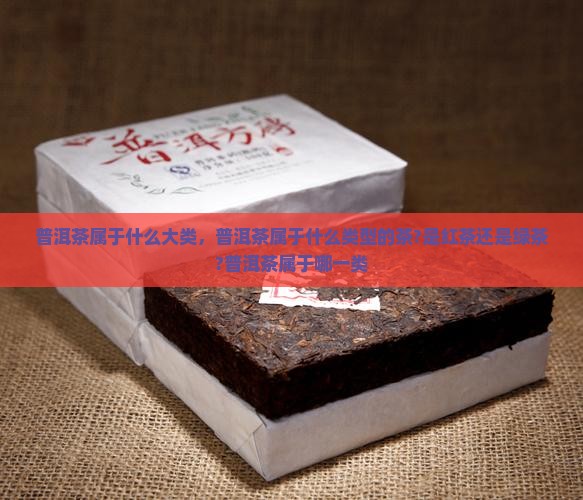 普洱茶属于什么大类 普洱茶属于什么大类